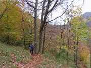 64 Sul sent. 234 nel bosco colorato d'autunno